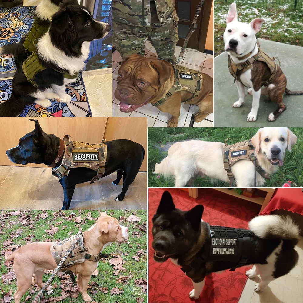 Tactical Dog Harnesses - Tactical Wilderness