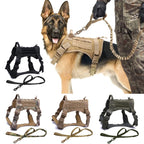 Tactical Dog Harnesses - Tactical Wilderness
