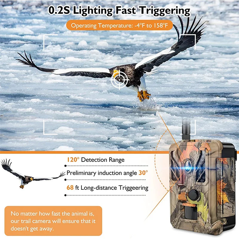 Outdoor Hunting Trail Camera - Tactical Wilderness