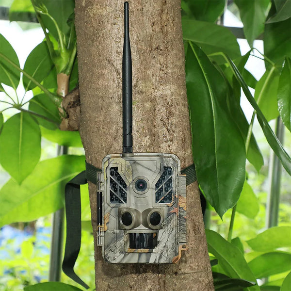 Outdoor Hunting Trail Camera - Tactical Wilderness